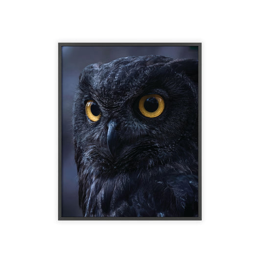 Black Owl Portrait Poster with Wooden Frame | Dramatic Wildlife Wall Art