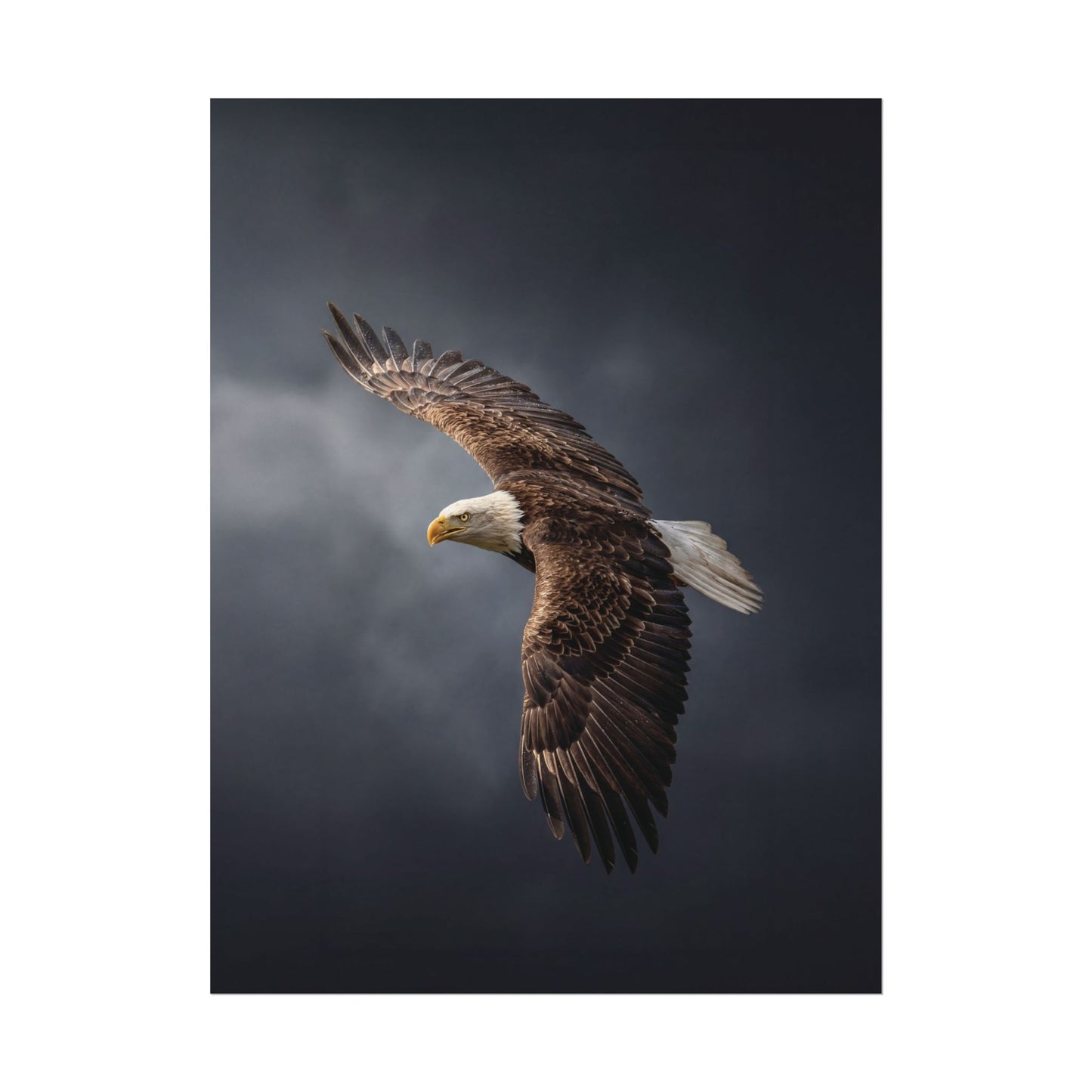 Textured Watercolor Matte Posters