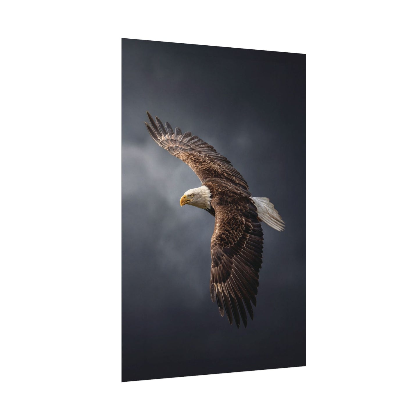 Textured Watercolor Matte Posters