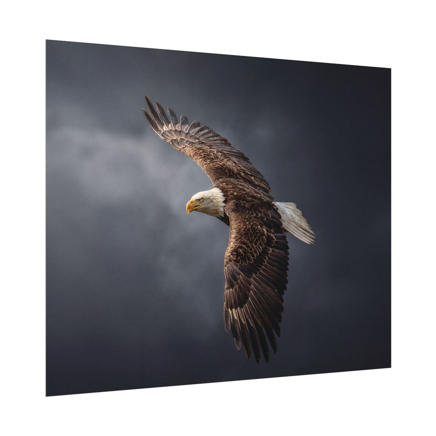 Textured Watercolor Matte Posters