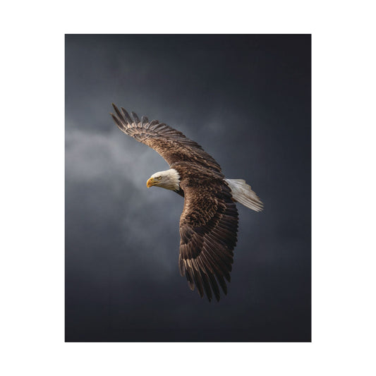 Textured Watercolor Matte Posters