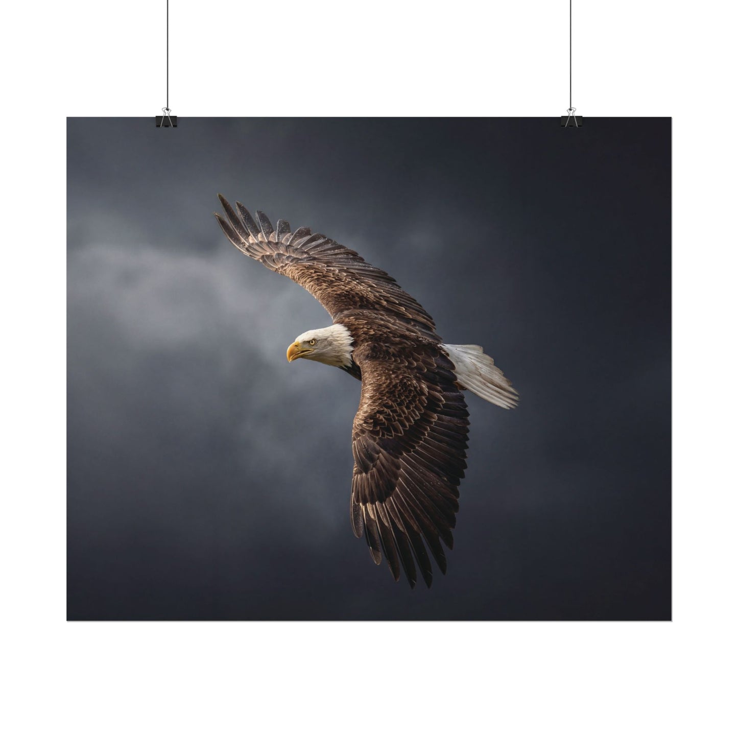 Textured Watercolor Matte Posters