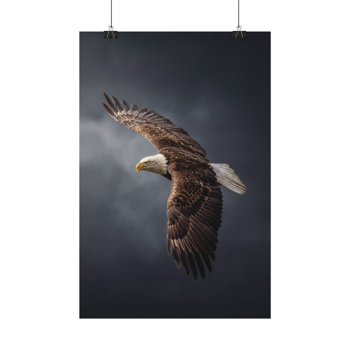 Textured Watercolor Matte Posters