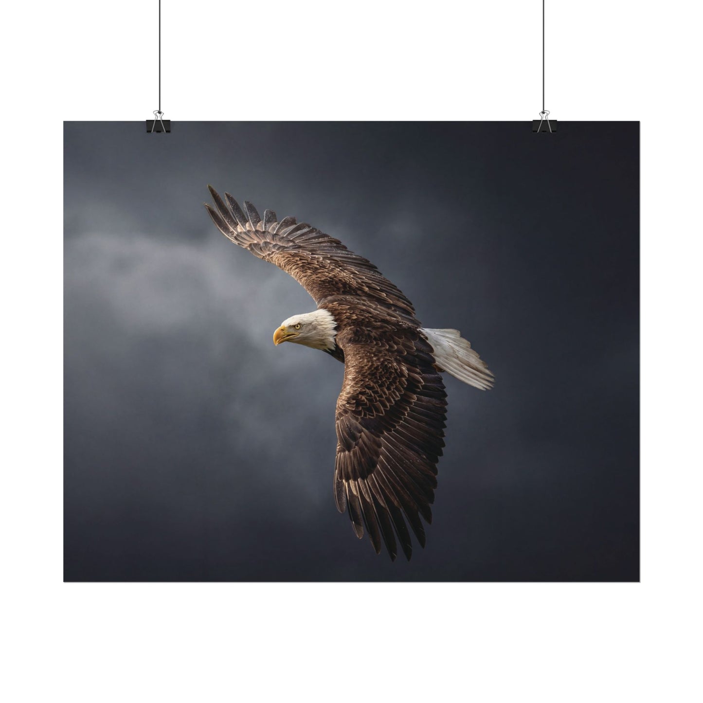 Textured Watercolor Matte Posters