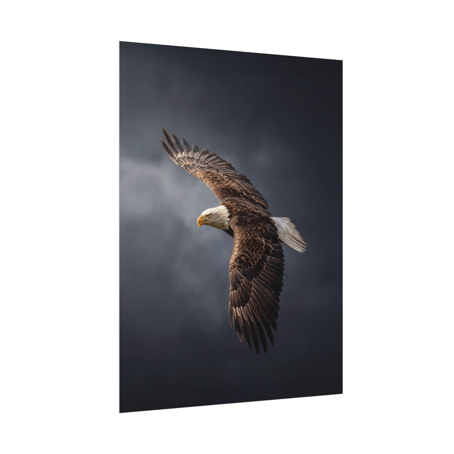 Textured Watercolor Matte Posters