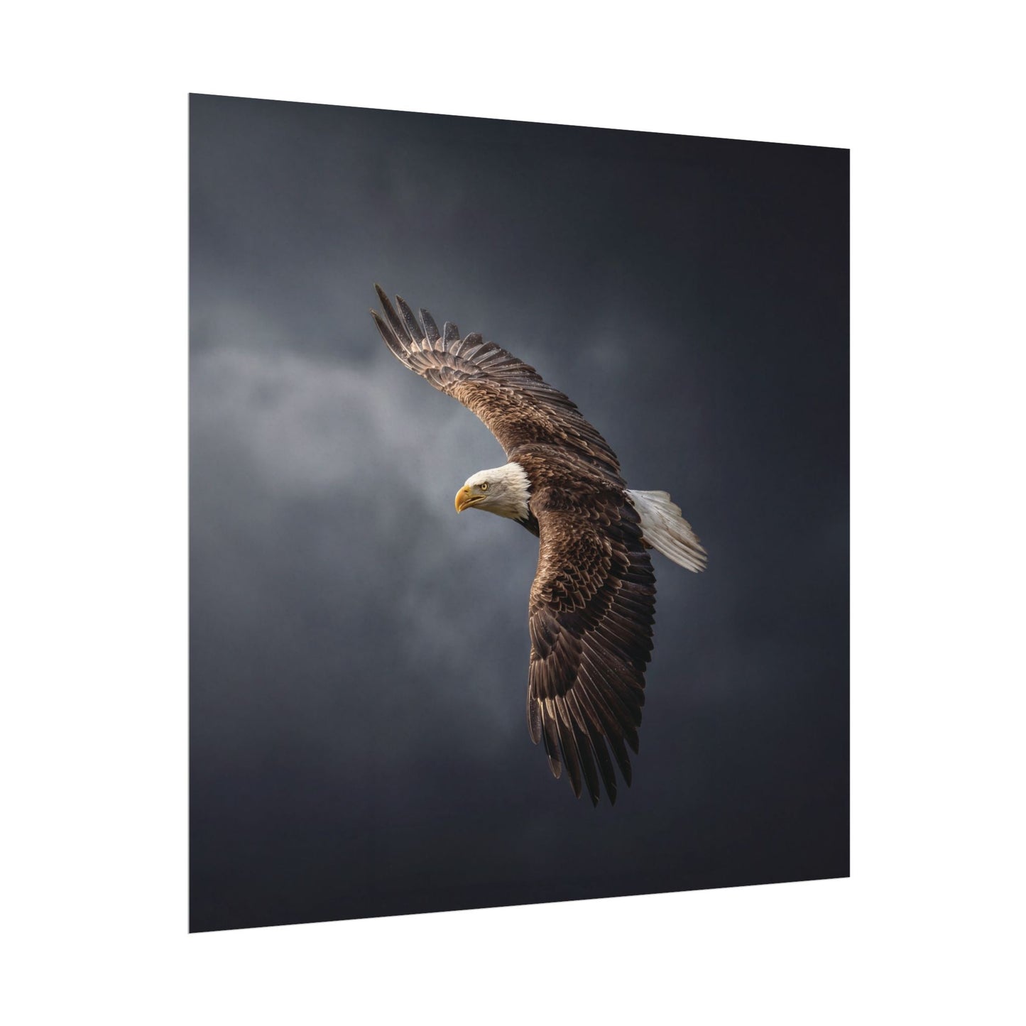 Textured Watercolor Matte Posters