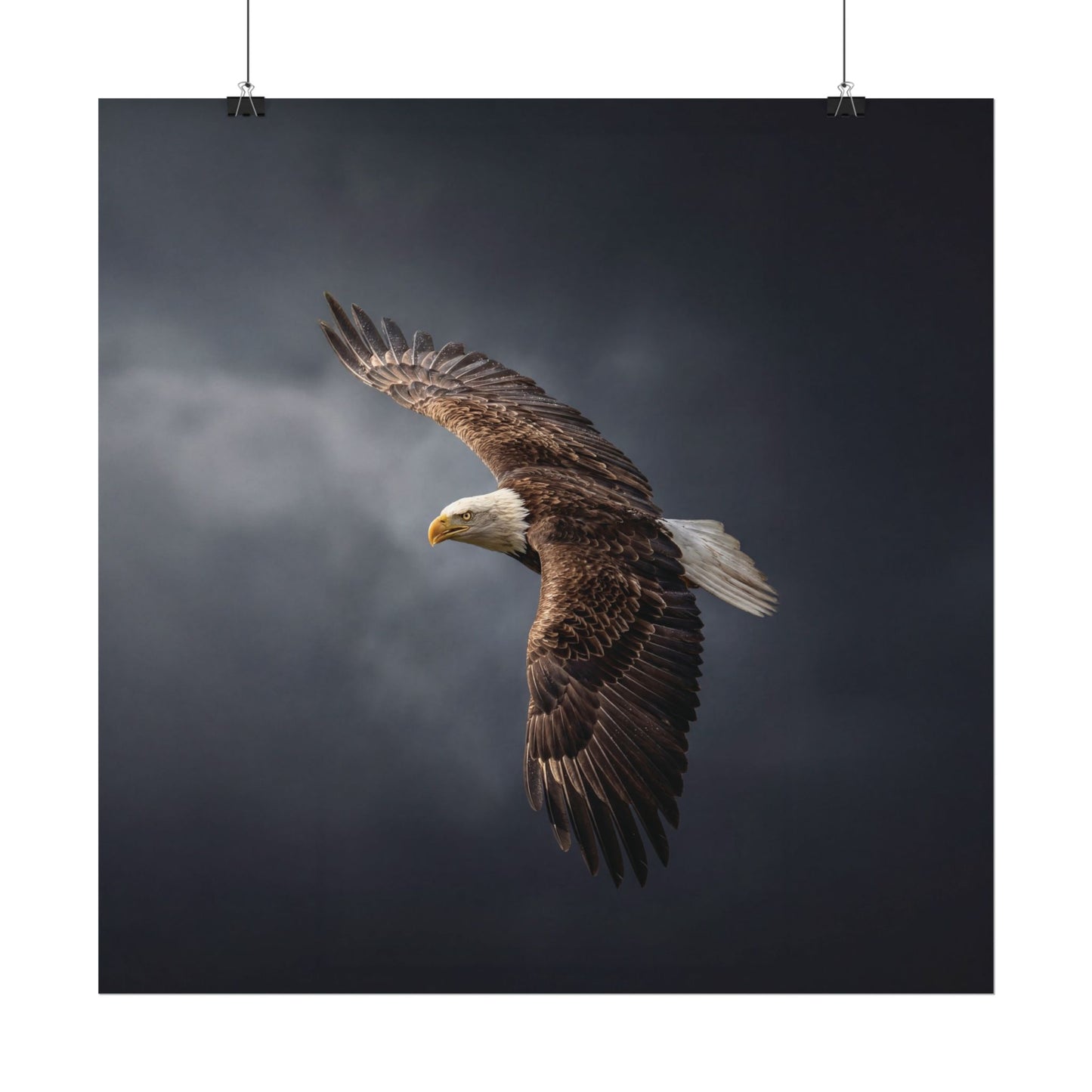 Textured Watercolor Matte Posters