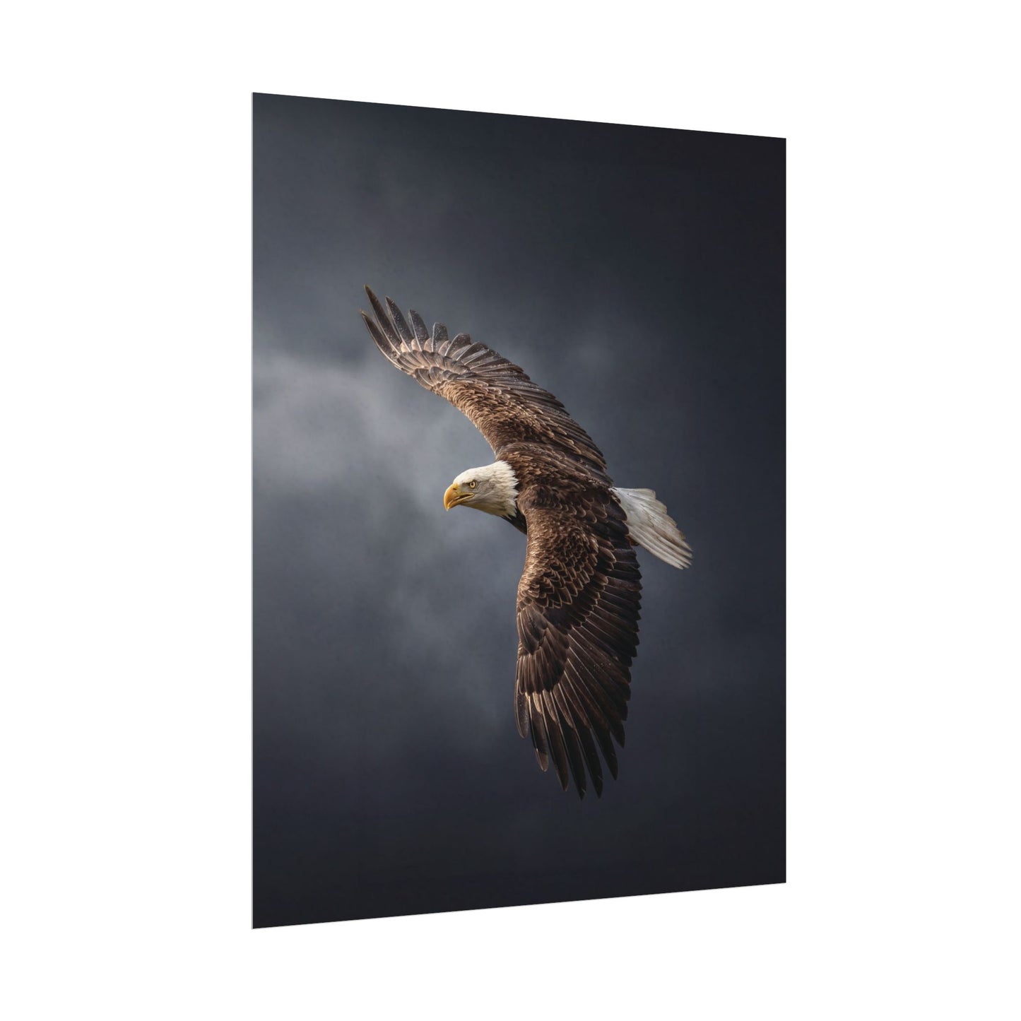 Textured Watercolor Matte Posters