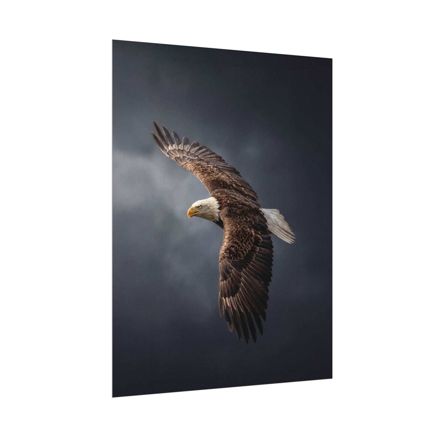 Textured Watercolor Matte Posters