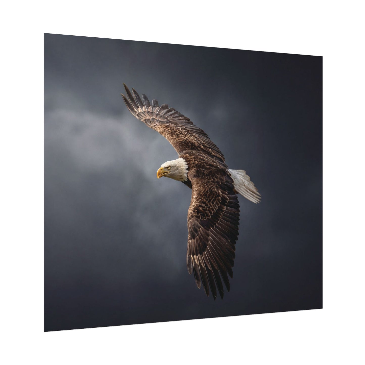 Textured Watercolor Matte Posters