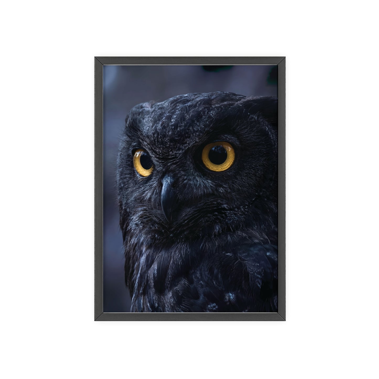 Black Owl Portrait Poster with Wooden Frame | Dramatic Wildlife Wall Art