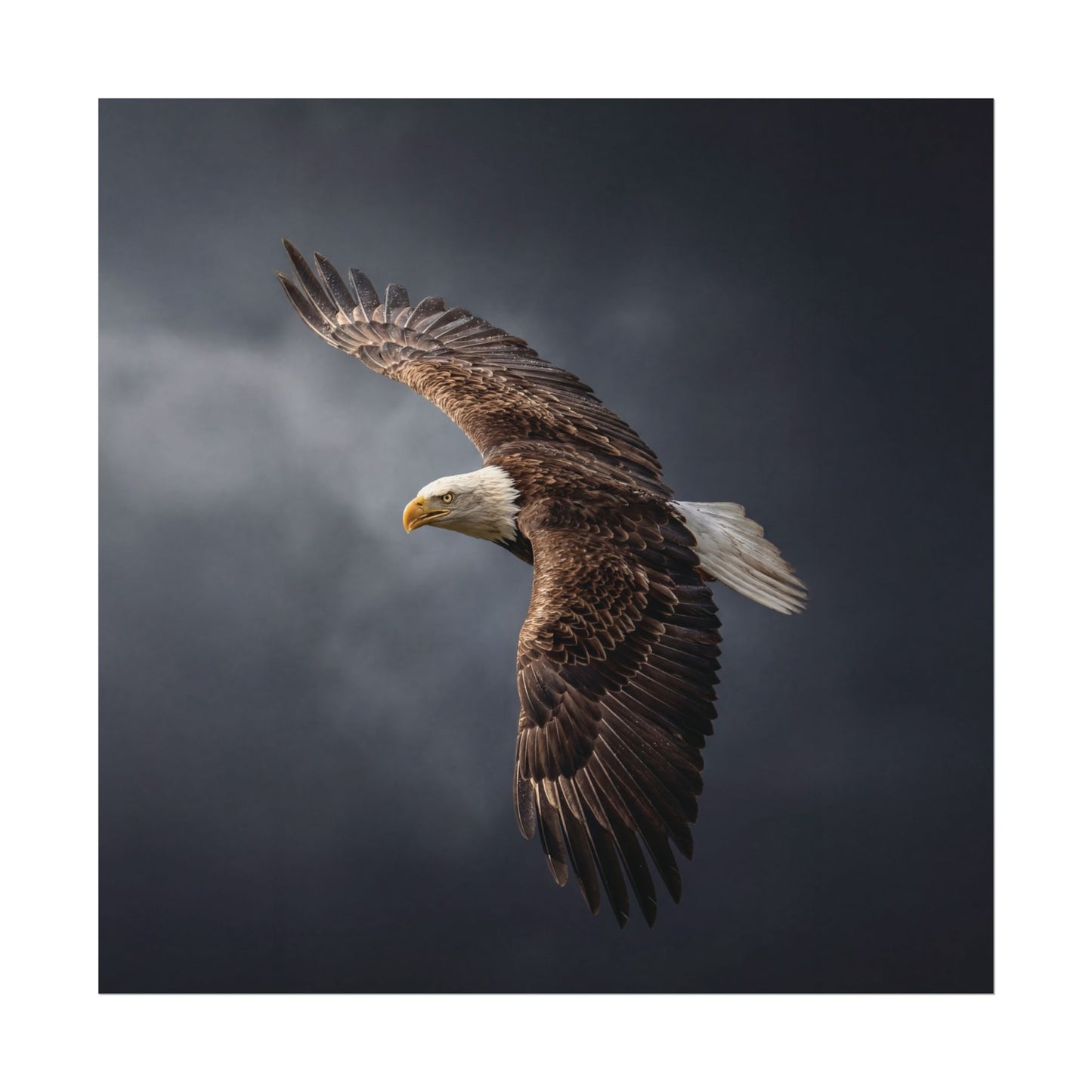 Textured Watercolor Matte Posters