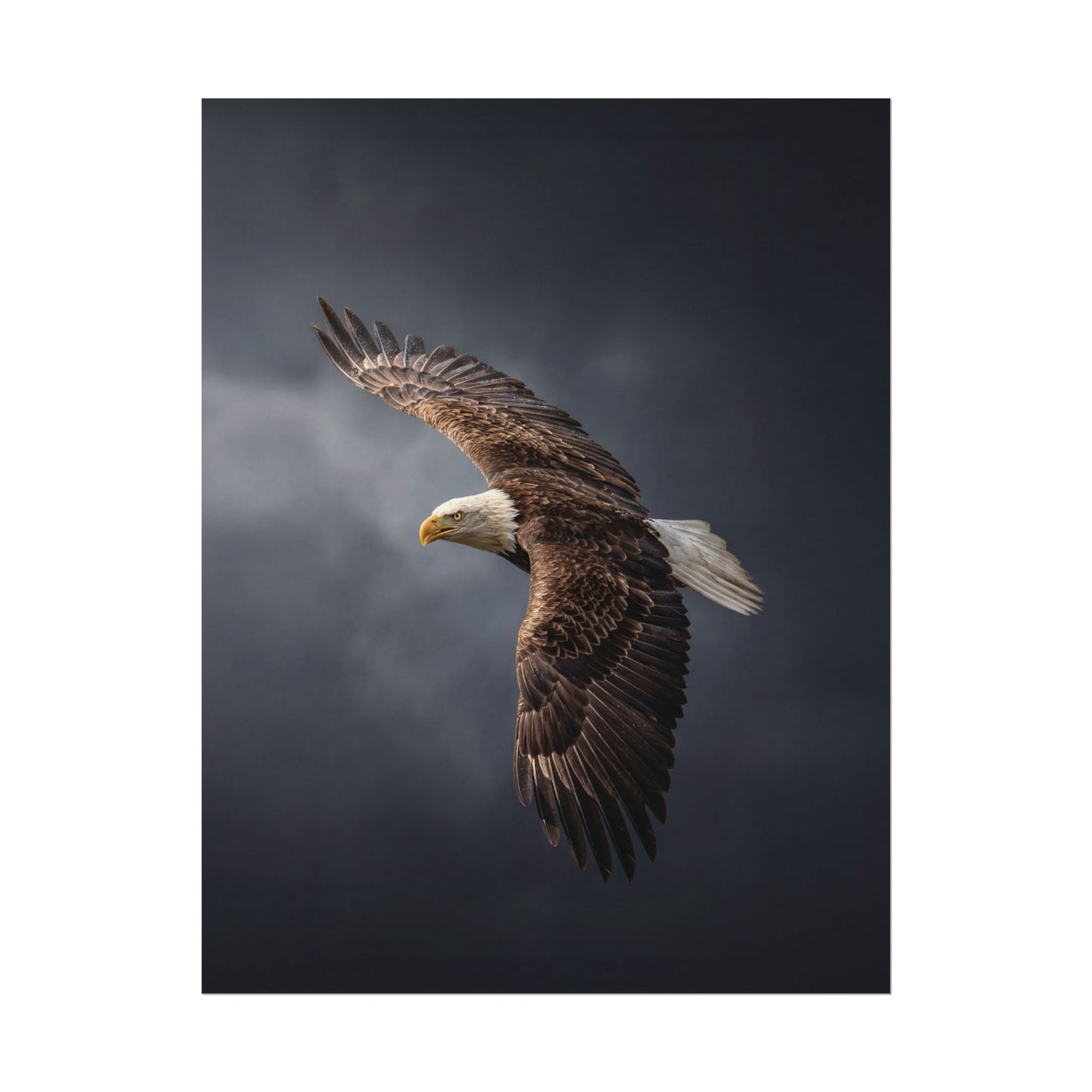 Textured Watercolor Matte Posters