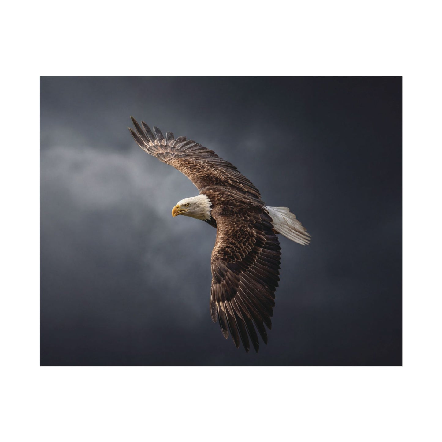 Textured Watercolor Matte Posters