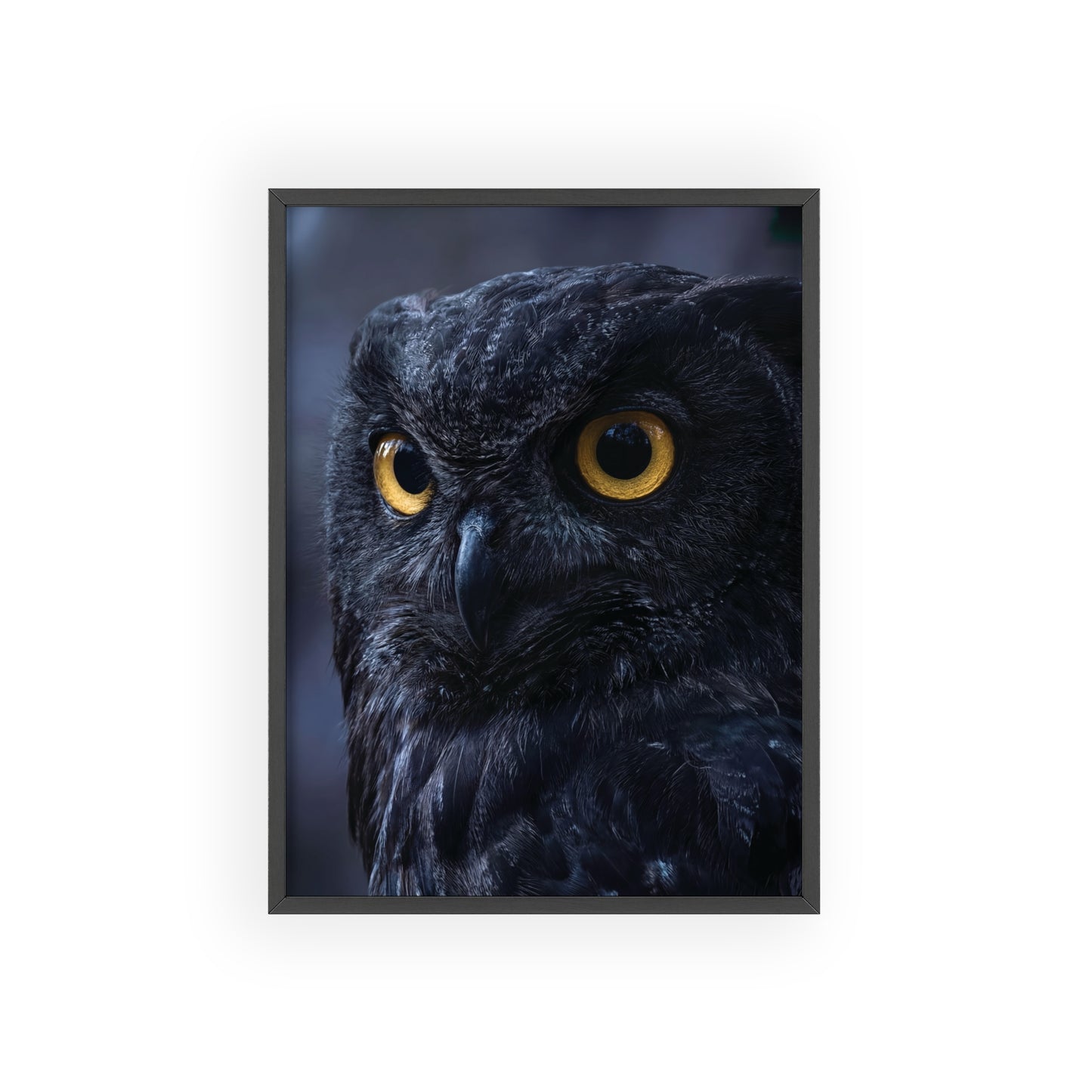 Black Owl Portrait Poster with Wooden Frame | Dramatic Wildlife Wall Art