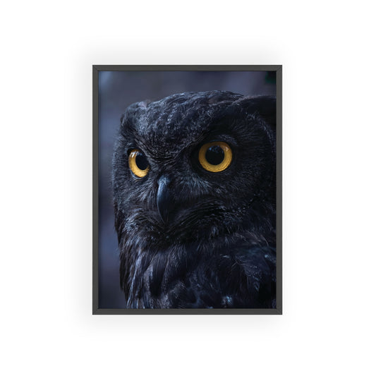 Black Owl Portrait Poster with Wooden Frame | Dramatic Wildlife Wall Art