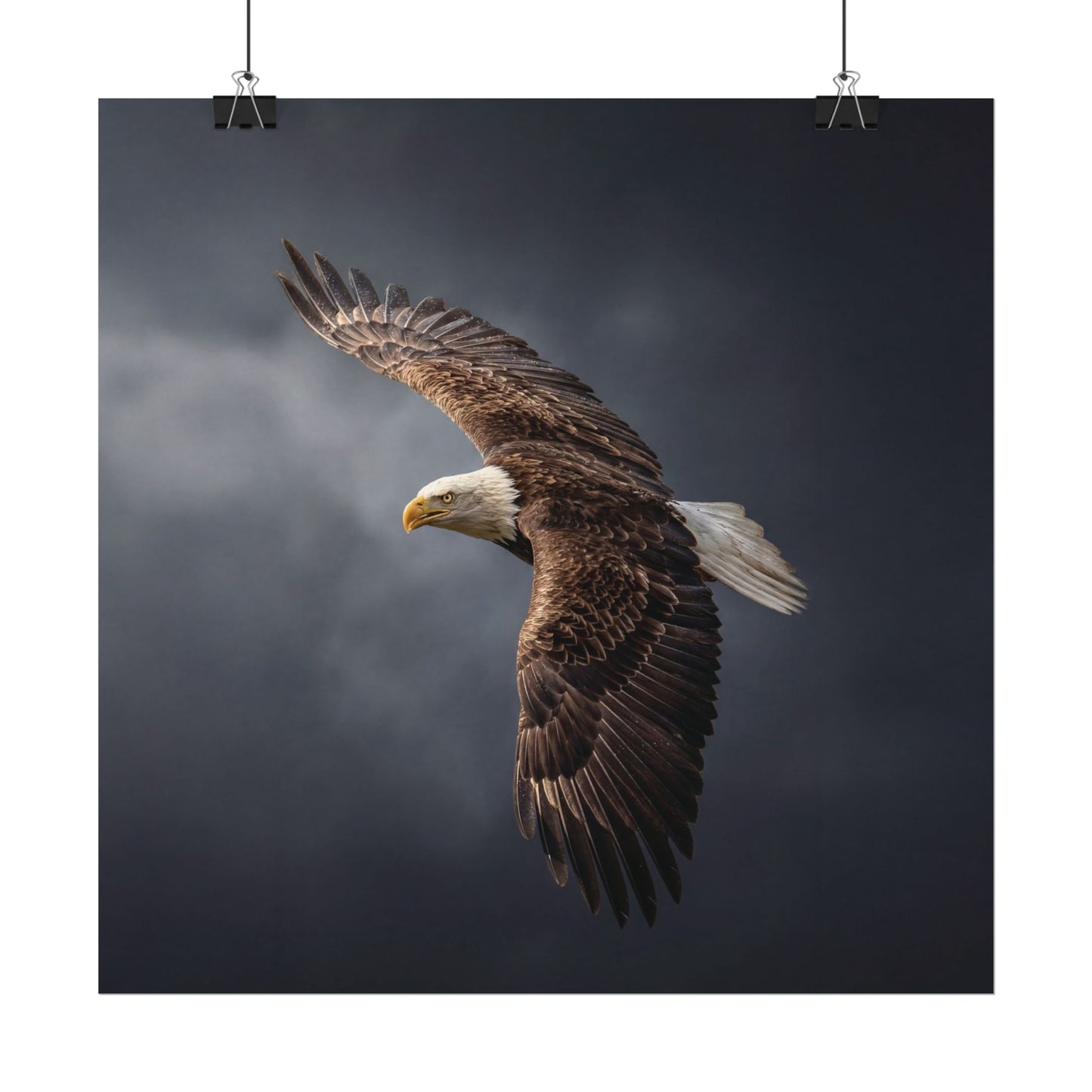 Textured Watercolor Matte Posters