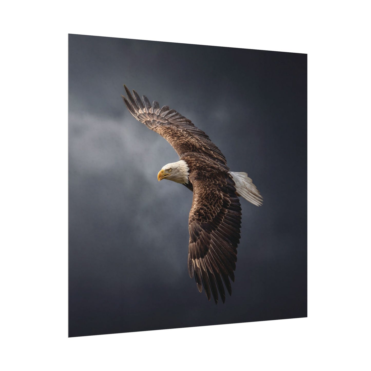 Textured Watercolor Matte Posters